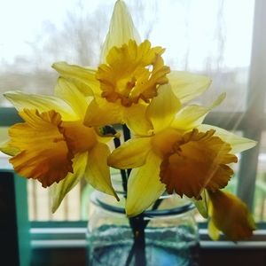 Meet your Posher, Shannon